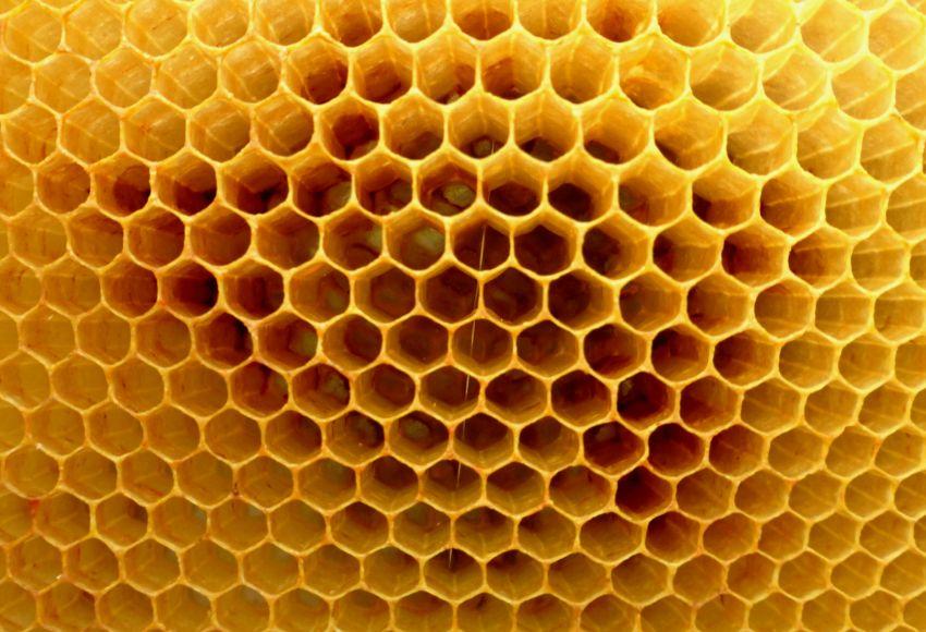 User Guide on Standards Compliance